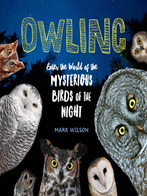 Title details for Owling by Mark Wilson - Available